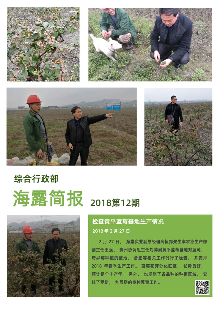 南宫NG·28(中国)相信品牌力量有限公司