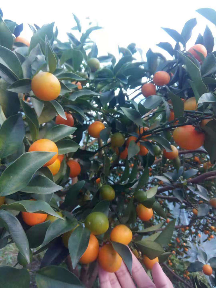 南宫NG·28(中国)相信品牌力量有限公司