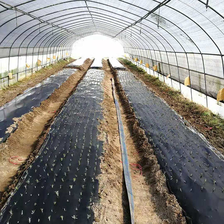 南宫NG·28(中国)相信品牌力量有限公司