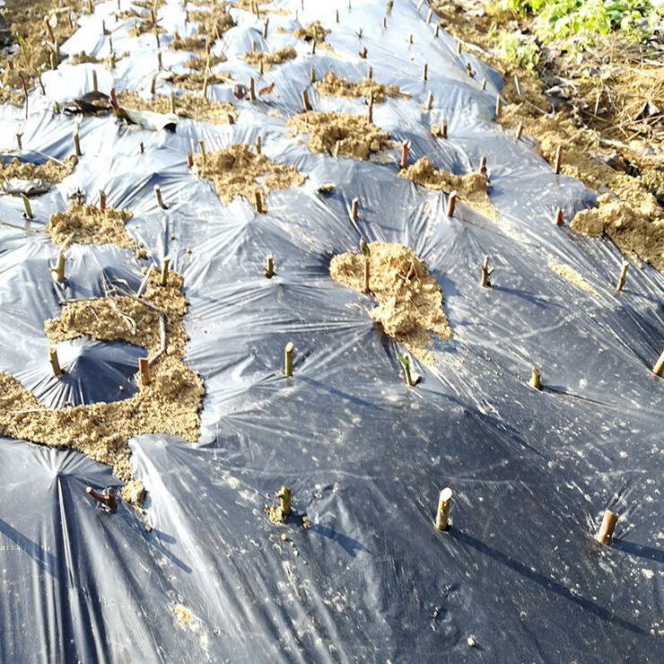 南宫NG·28(中国)相信品牌力量有限公司