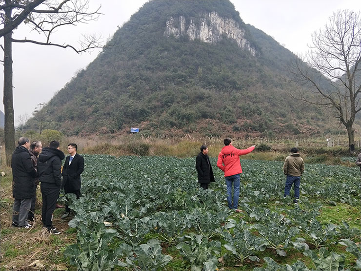 南宫NG·28(中国)相信品牌力量有限公司