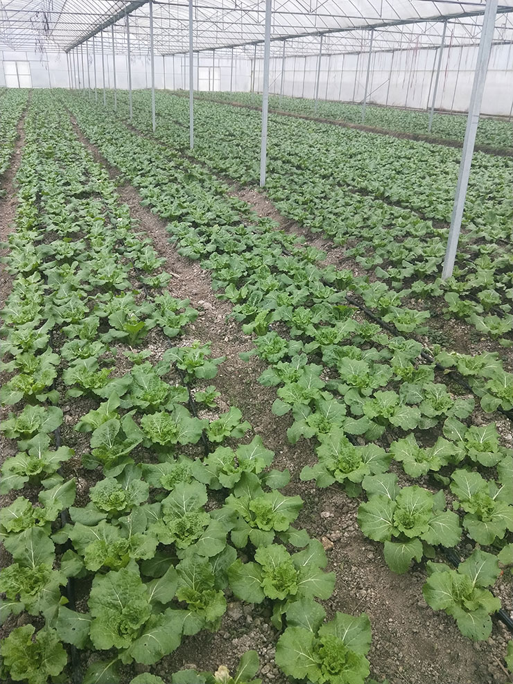 南宫NG·28(中国)相信品牌力量有限公司