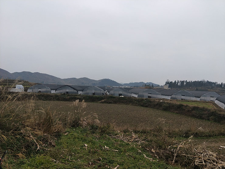 南宫NG·28(中国)相信品牌力量有限公司