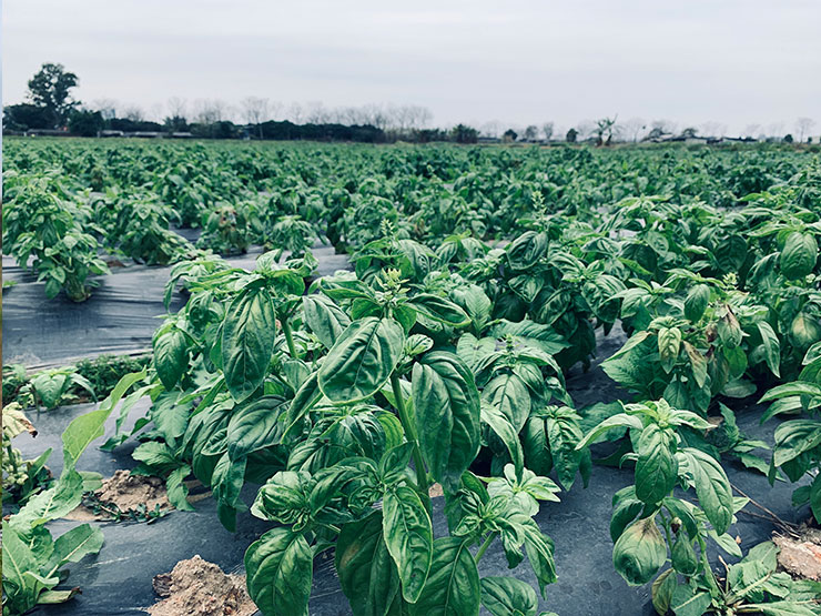 南宫NG·28(中国)相信品牌力量有限公司