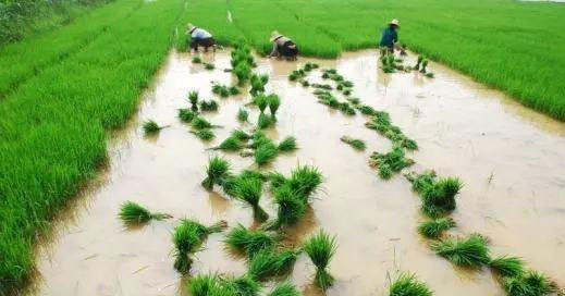 南宫NG·28(中国)相信品牌力量有限公司