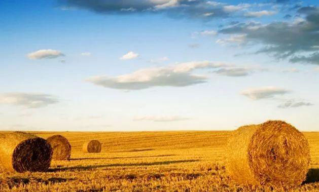 南宫NG·28(中国)相信品牌力量有限公司