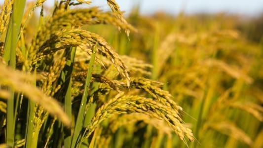 南宫NG·28(中国)相信品牌力量有限公司