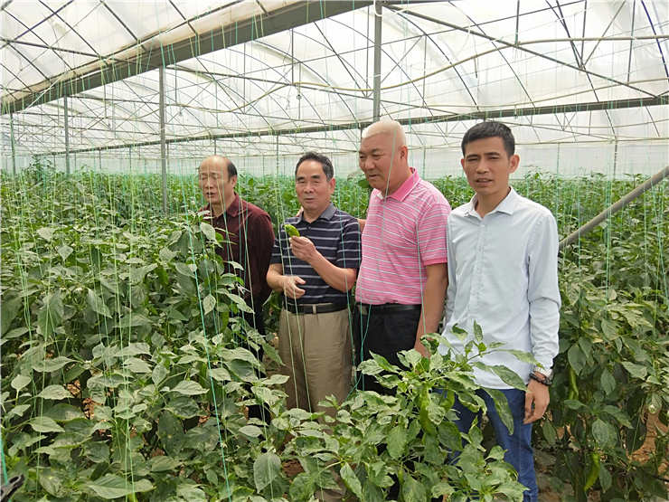 南宫NG·28(中国)相信品牌力量有限公司