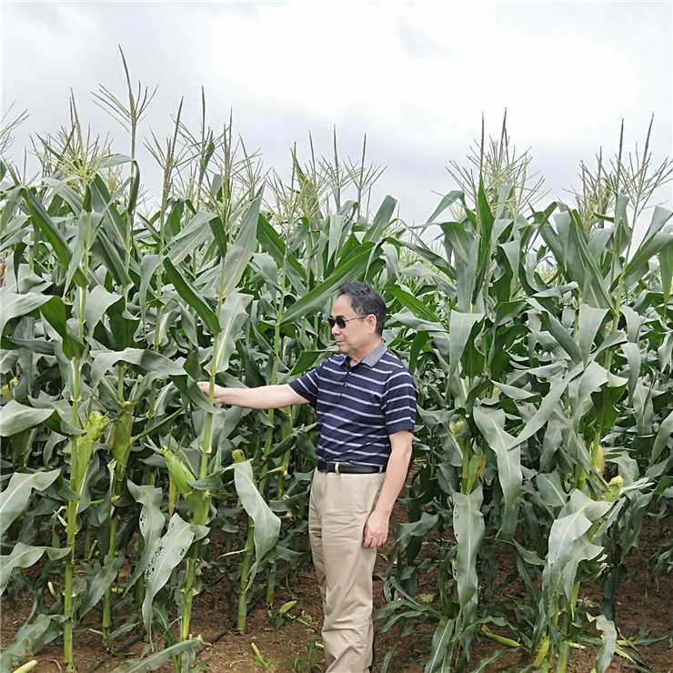 南宫NG·28(中国)相信品牌力量有限公司