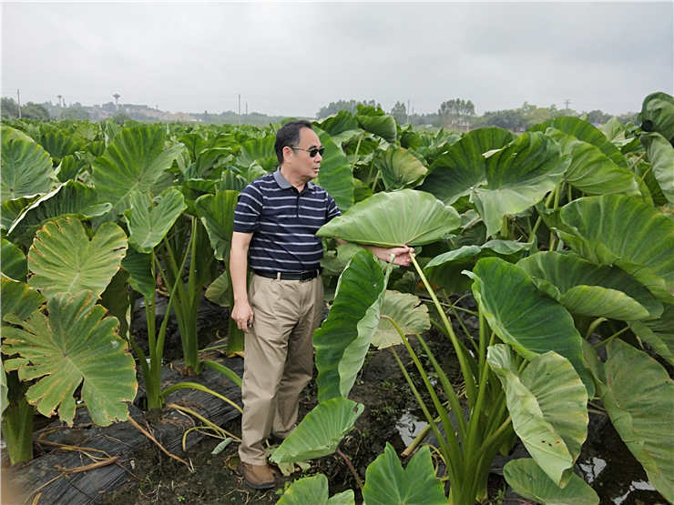 南宫NG·28(中国)相信品牌力量有限公司