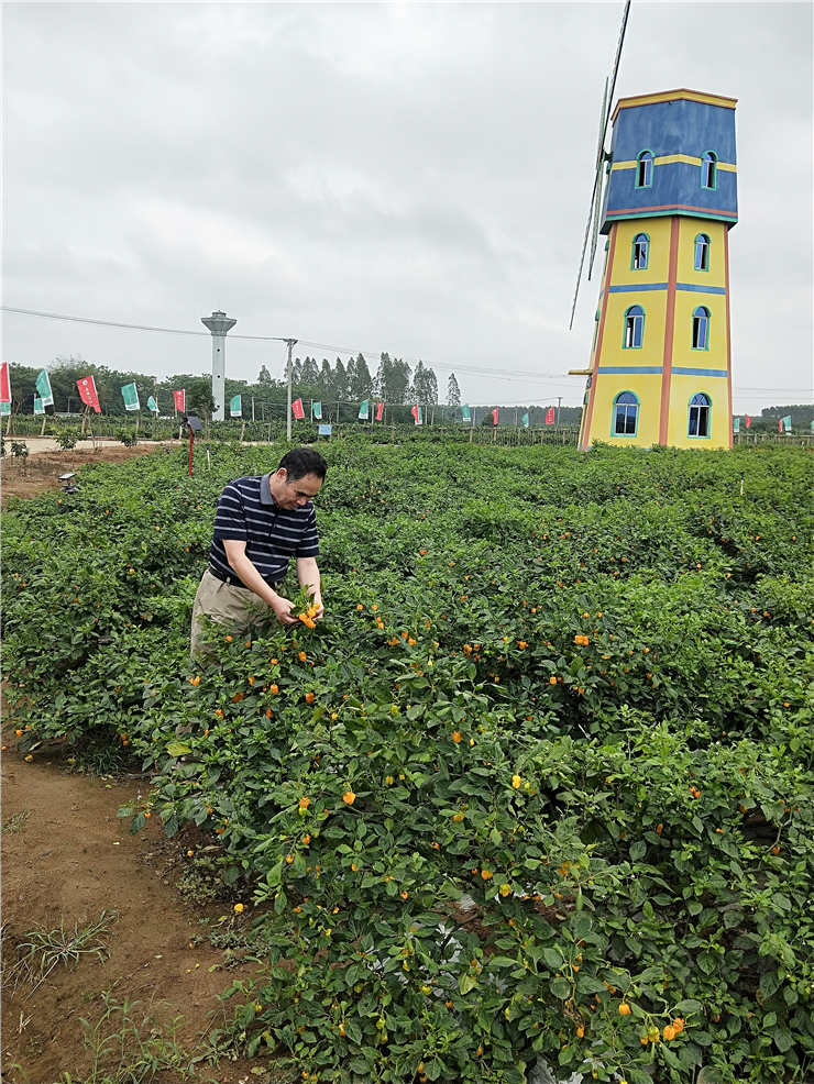 南宫NG·28(中国)相信品牌力量有限公司