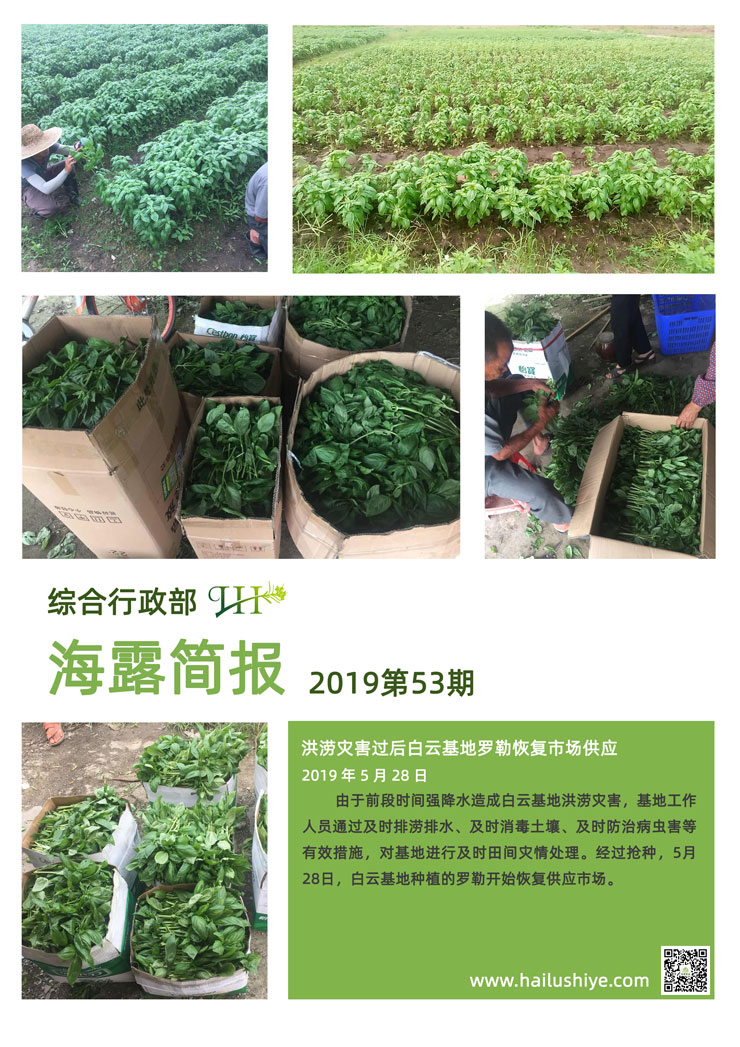 南宫NG·28(中国)相信品牌力量有限公司