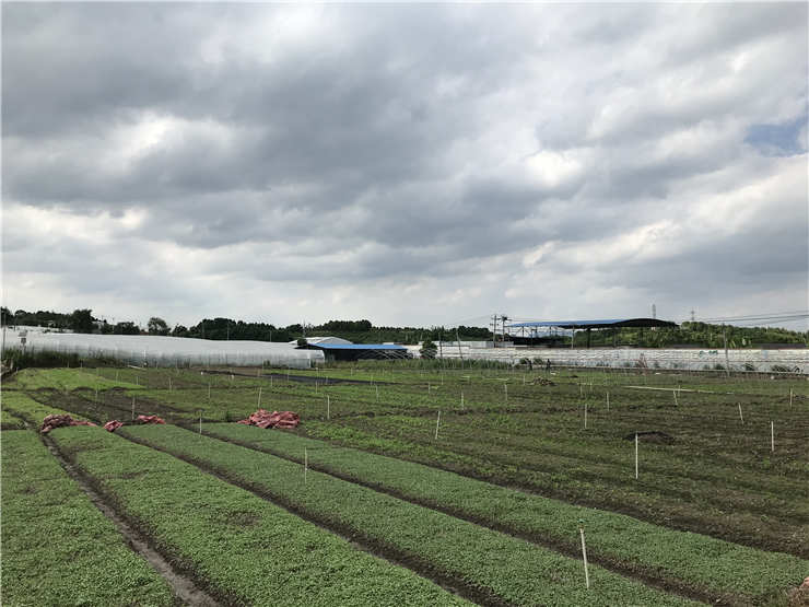 南宫NG·28(中国)相信品牌力量有限公司