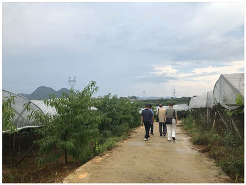 南宫NG·28(中国)相信品牌力量有限公司