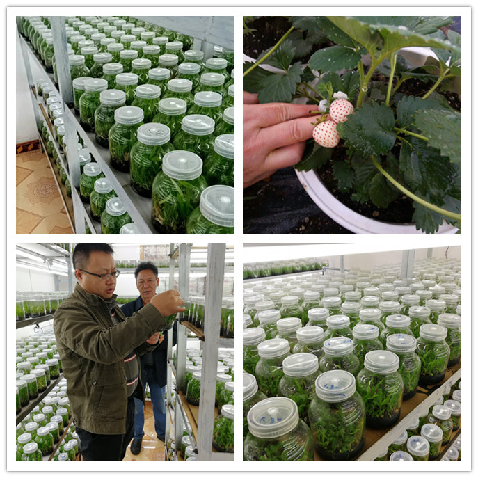 南宫NG·28(中国)相信品牌力量有限公司