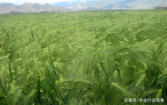 南宫NG·28(中国)相信品牌力量有限公司