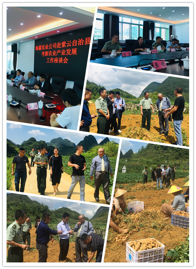 南宫NG·28(中国)相信品牌力量有限公司