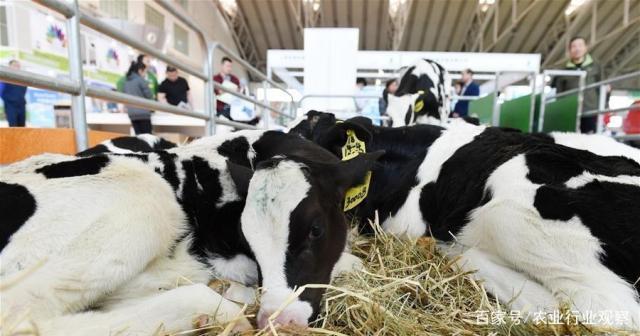 南宫NG·28(中国)相信品牌力量有限公司