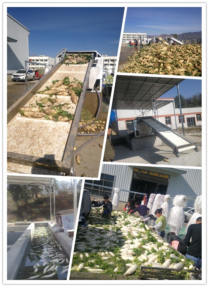 南宫NG·28(中国)相信品牌力量有限公司