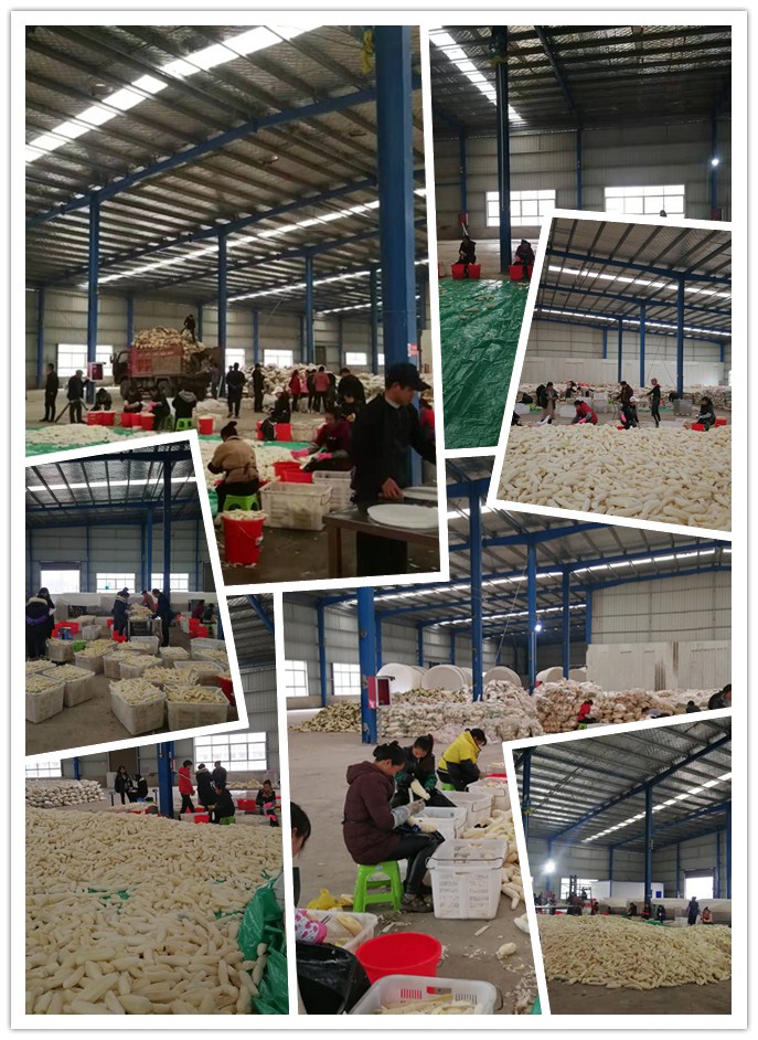 南宫NG·28(中国)相信品牌力量有限公司