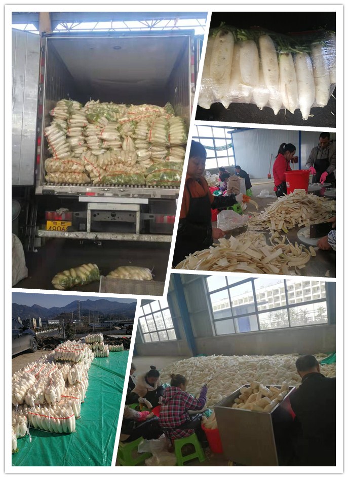 南宫NG·28(中国)相信品牌力量有限公司