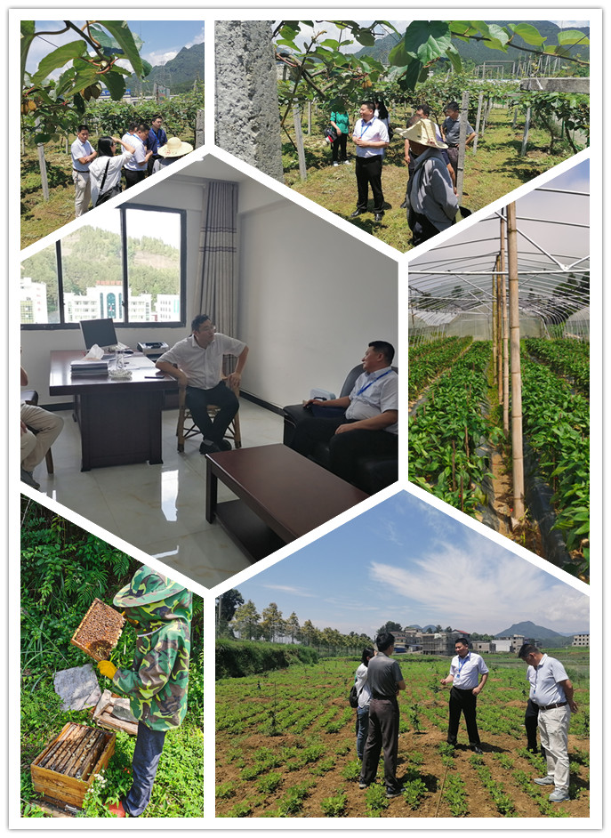 南宫NG·28(中国)相信品牌力量有限公司