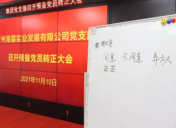 集团党支部召开准备党员转正大会 开展学习党史专题教育暨上党课运动