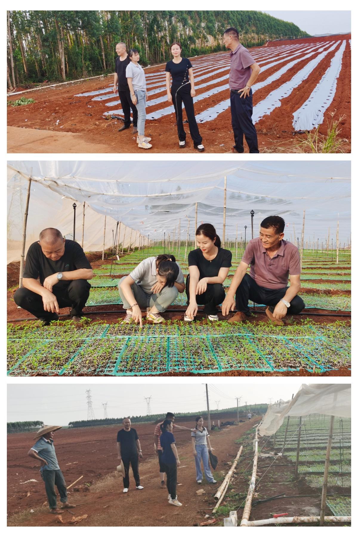 南宫NG·28(中国)相信品牌力量有限公司