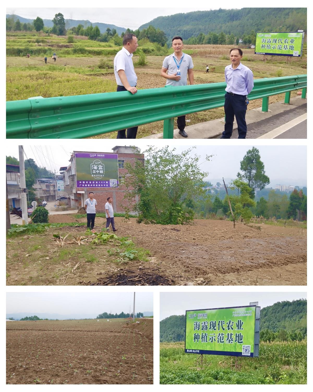 南宫NG·28(中国)相信品牌力量有限公司