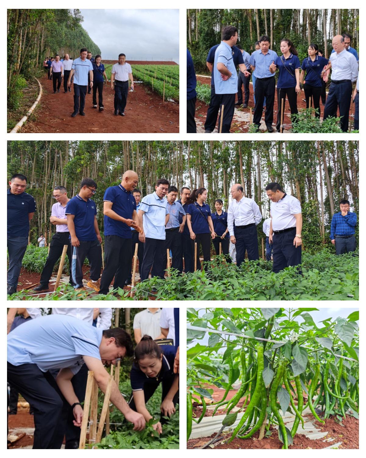 南宫NG·28(中国)相信品牌力量有限公司