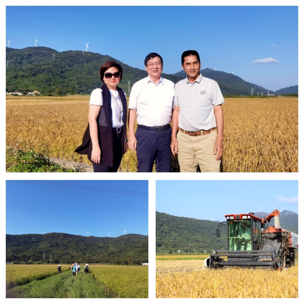 南宫NG·28(中国)相信品牌力量有限公司