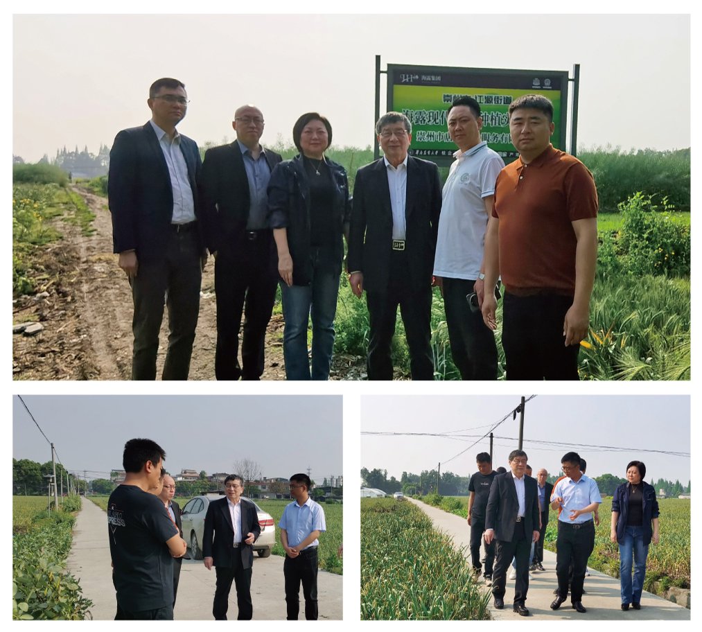 南宫NG·28(中国)相信品牌力量有限公司