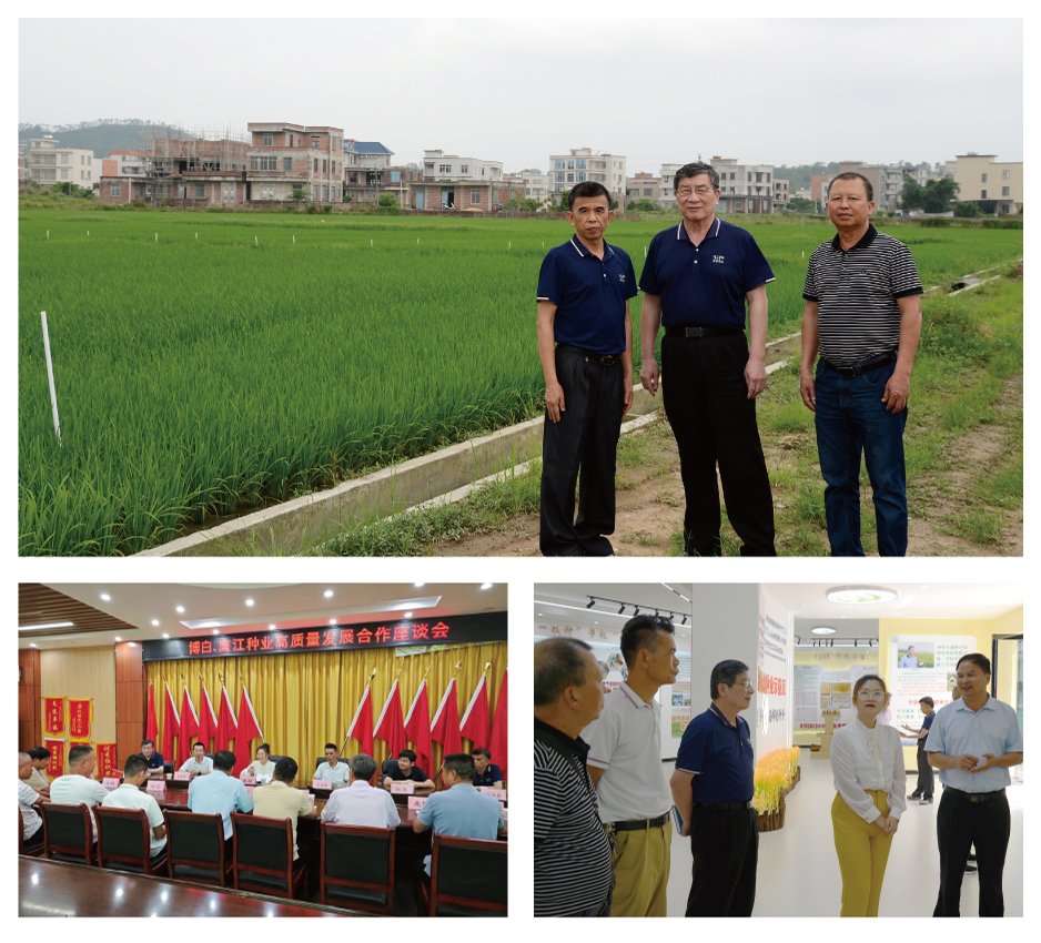 南宫NG·28(中国)相信品牌力量有限公司