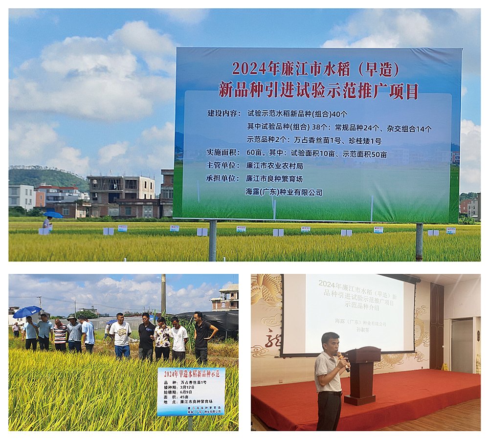 南宫NG·28(中国)相信品牌力量有限公司