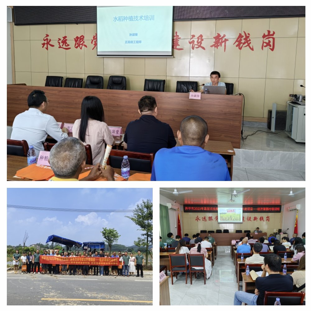 南宫NG·28(中国)相信品牌力量有限公司