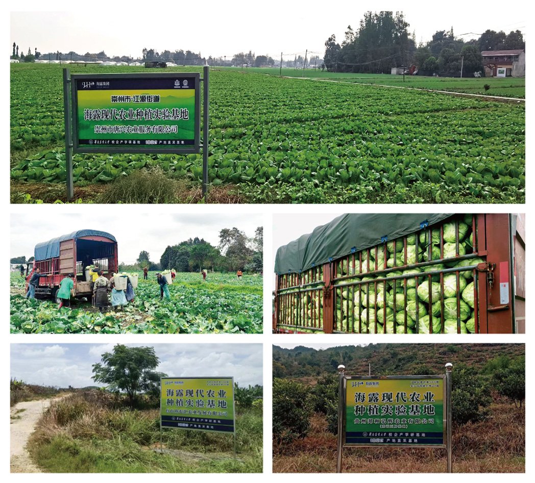 南宫NG·28(中国)相信品牌力量有限公司