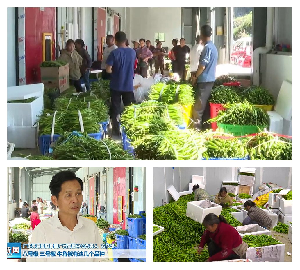 南宫NG·28(中国)相信品牌力量有限公司