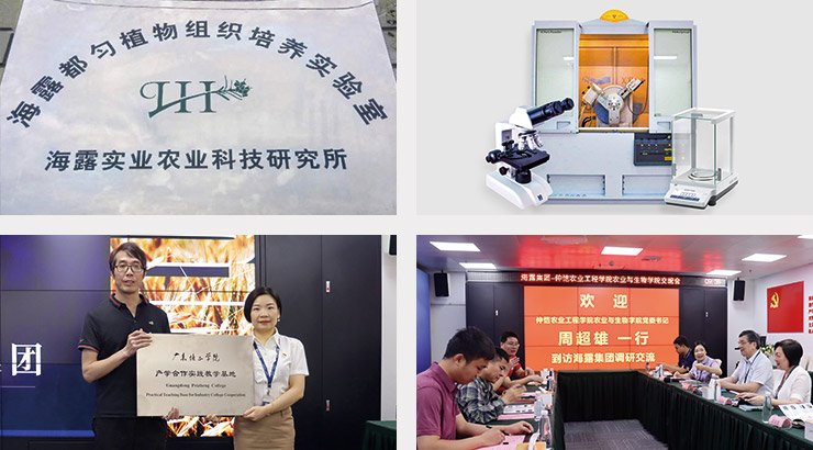 南宫NG·28(中国)相信品牌力量有限公司