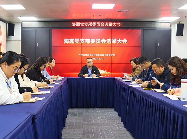 集团完成新建设党支部支委会选举事情
