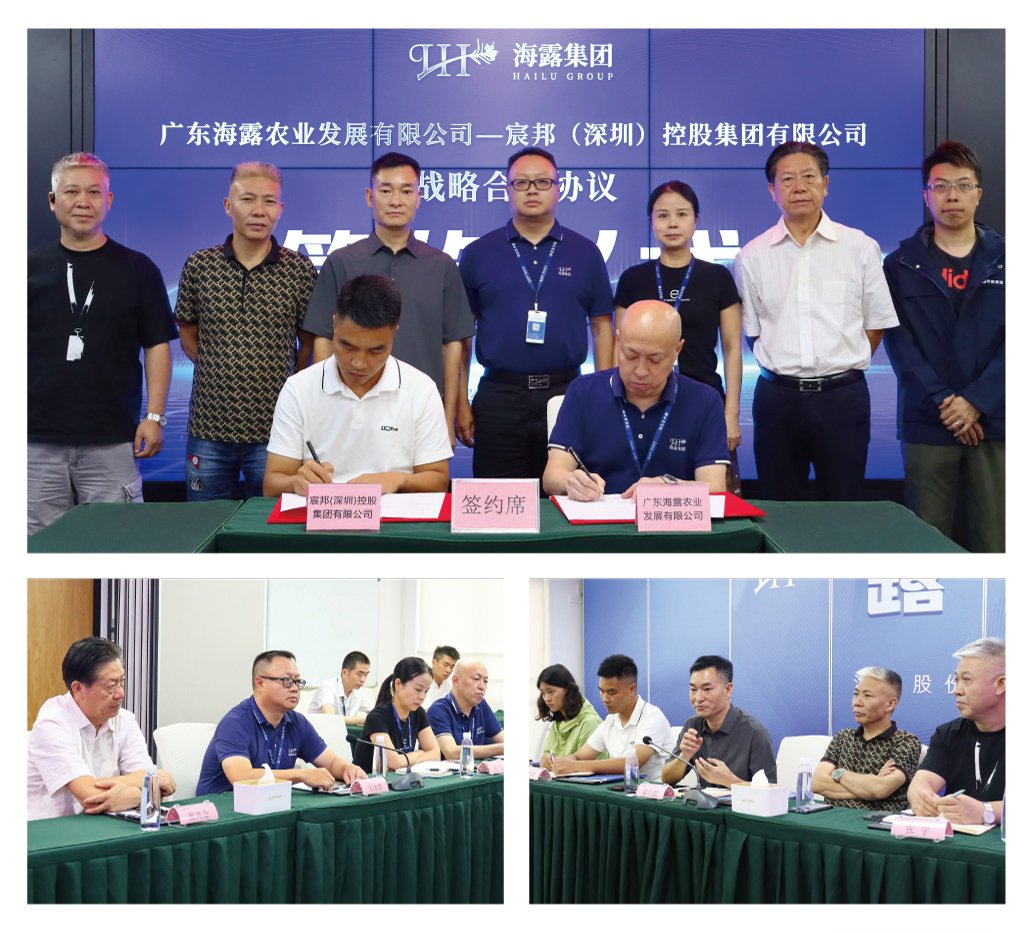 南宫NG·28(中国)相信品牌力量有限公司