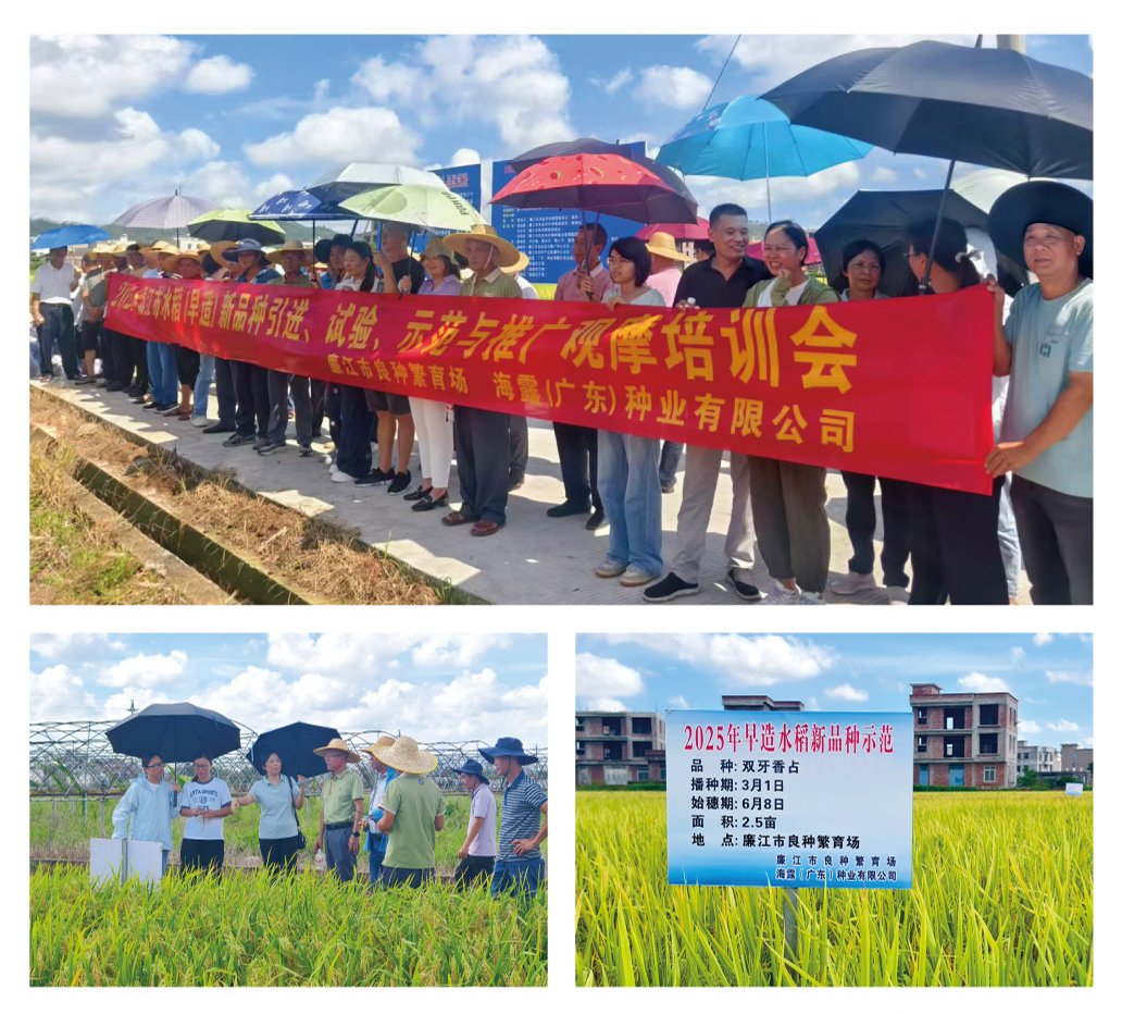 南宫NG·28(中国)相信品牌力量有限公司