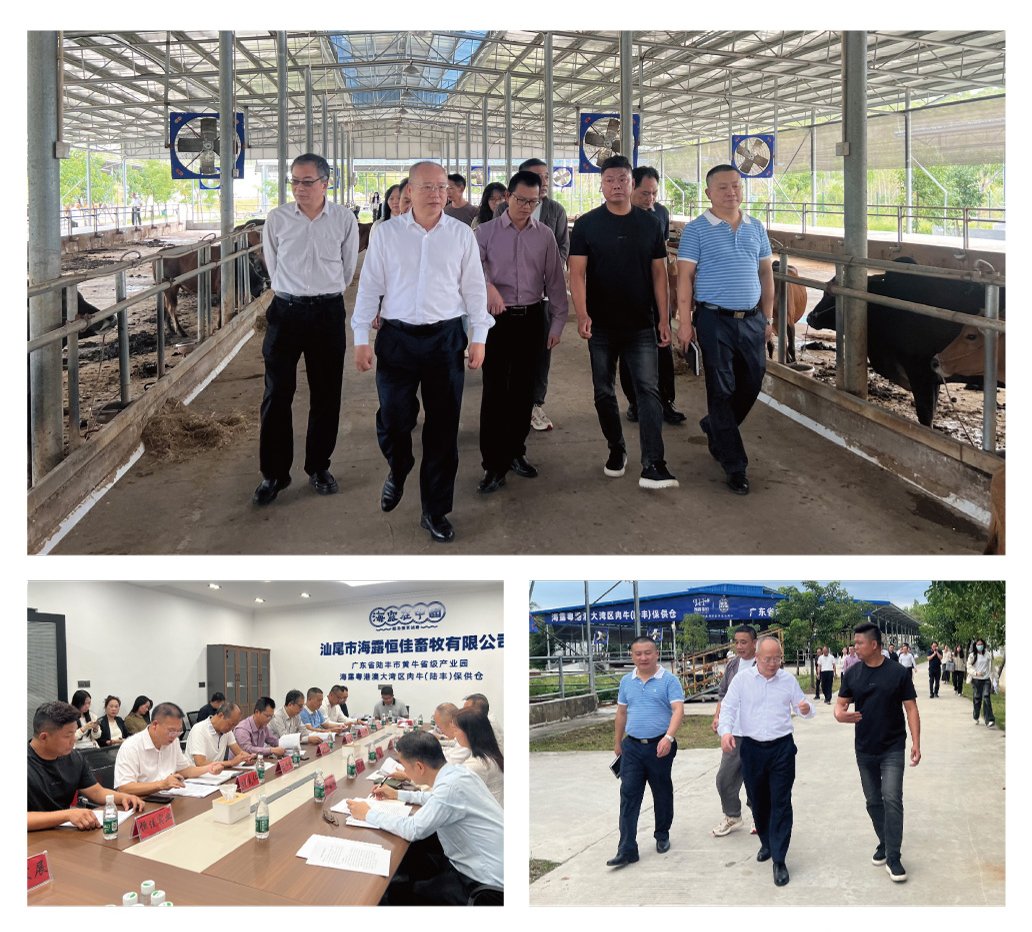 南宫NG·28(中国)相信品牌力量有限公司